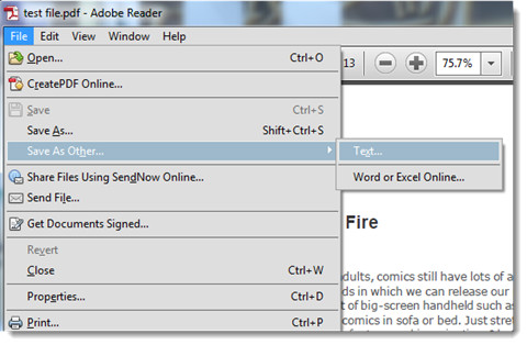 convert pdf to word-save as text